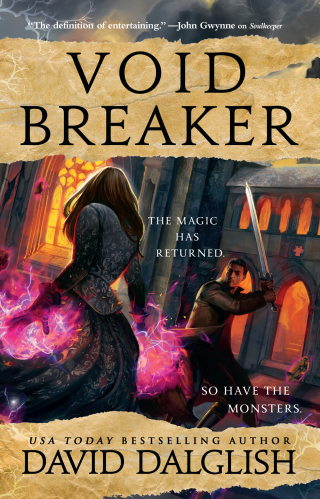 Cover image: Voidbreaker 9780316416733