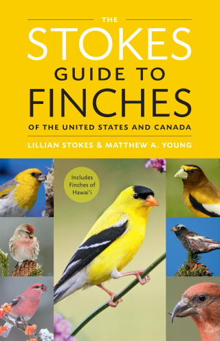 Cover image: The Stokes Guide to Finches of the United States and Canada 9780316419932