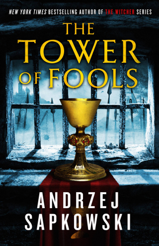 Cover image: The Tower of Fools 9780316705356