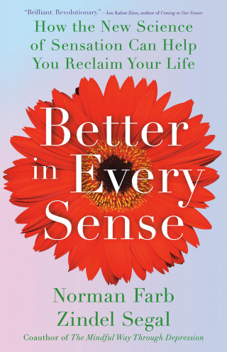 Cover image: Better in Every Sense 9780316434430