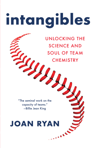 Cover image: Intangibles 9780316434935
