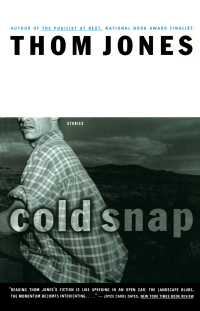 Cover image: Cold Snap 9780316438643