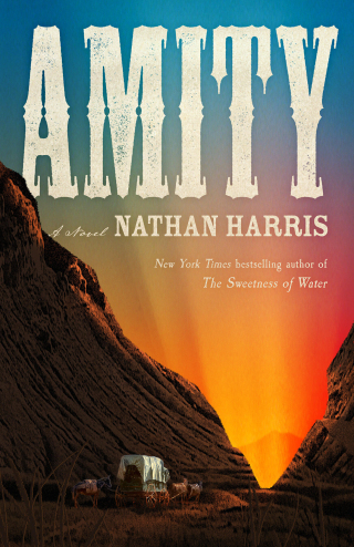 Cover image: Amity 9780316456241