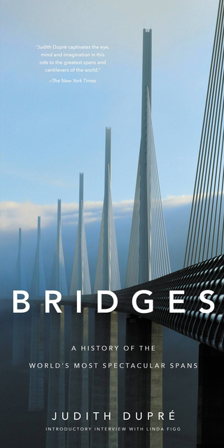 Cover image: Bridges 9780316473804