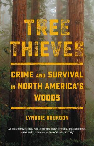 Cover image: Tree Thieves 9780316497442