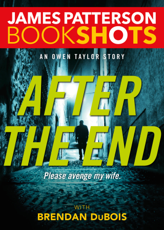Cover image: After the End 9780316504270