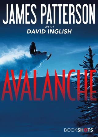 Cover image: Avalanche 9780316505604