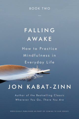 Cover image: Falling Awake 9780316521970