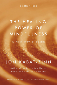 Cover image: The Healing Power of Mindfulness 9780316411769