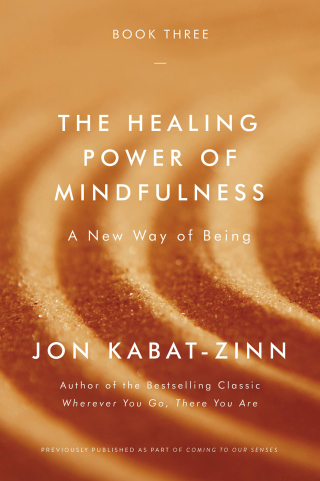 Cover image: The Healing Power of Mindfulness 9780316411769