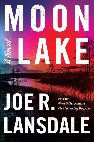 Cover image: Moon Lake 9780316540643
