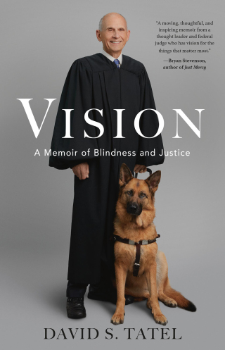 Cover image: Vision 9780316542029