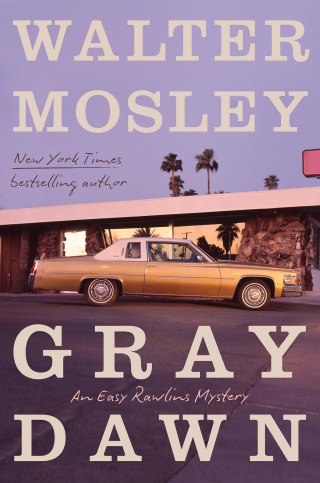 Cover image: Gray Dawn 9780316573238