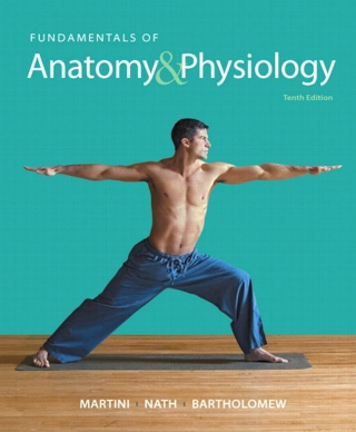 Cover image: Fundamentals of Anatomy & Physiology 10th edition 9780321909077