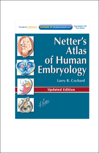 صورة الغلاف: Netter's Atlas of Human Embryology 9781455739776