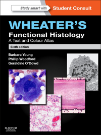 Cover image: Wheater's Functional Histology E-Book 6th edition 9780702047473