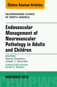 表紙画像: Endovascular Management of Neurovascular Pathology in Adults and Children, An Issue of Neuroimaging Clinics 9780323242318