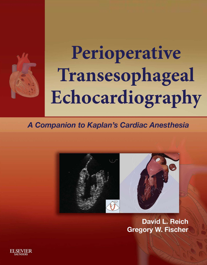 Cover image: Perioperative Transesophageal Echocardiography