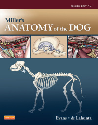 Cover image: Miller's Anatomy of the Dog 4th edition 9781437708127