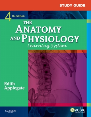 Cover image: Study Guide for The Anatomy and Physiology Learning System 4th edition 9781437703948