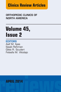 Cover image: Volume 45, Issue 2, An Issue of Orthopedic Clinics 9780323294812