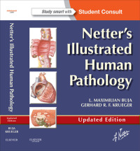 Immagine di copertina: Netter's Illustrated Human Pathology Updated Edition E-book 9780323220897
