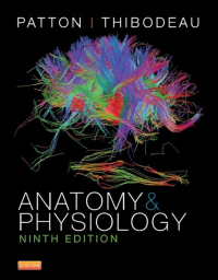 Cover image: Anatomy and Physiology 9th edition 9780323341394
