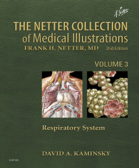 Imagen de portada: Netter's Respiratory System 2nd edition 9781437705744