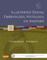Cover image: Illustrated Dental Embryology, Histology, and Anatomy 4th edition 9781455776856