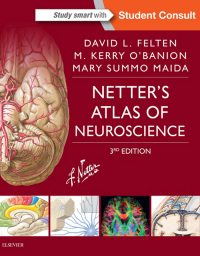 Imagen de portada: Netter's Atlas of Neuroscience - Electronic 3rd edition 9780323265119