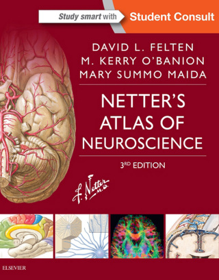Cover image: Netter's Atlas of Neuroscience - Electronic 3rd edition 9780323265119