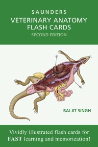 Imagen de portada: Veterinary Anatomy Flash Cards 2nd edition 9781455776832