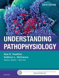 Cover image: Understanding Pathophysiology 6th edition 9780323354097