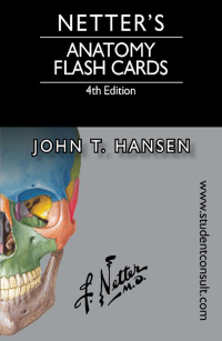 Cover image: Netter's Anatomy Flash Cards 4th edition 9780323185950