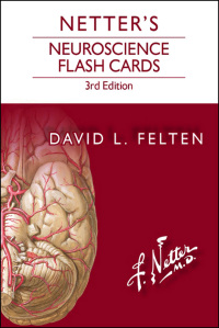 表紙画像: Netter's Neuroscience Flash Cards 3rd edition 9780323401562