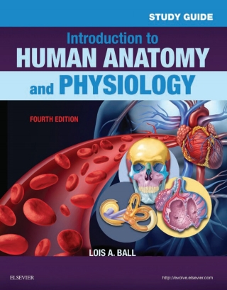 Cover image: Study Guide for Introduction to Human Anatomy and Physiology 4th edition 9780323239288