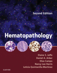 Titelbild: Hematopathology 2nd edition 9780323296137
