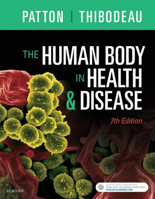 Cover image: The Human Body in Health & Disease 7th edition 9780323402118
