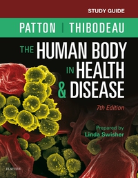 Cover image: Study Guide for the Human Body in Health & Disease 7th edition 9780323402941