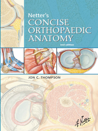 表紙画像: Netter's Concise Orthopaedic Anatomy, Updated Edition - Electronic 2nd edition 9781416059875