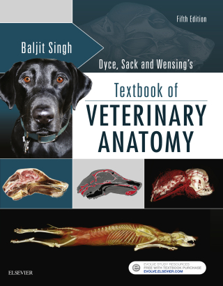 Cover image: Dyce, Sack and Wensing's Textbook of Veterinary Anatomy 5th edition 9780323442640