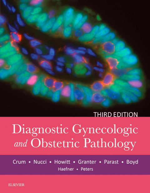 Diagnostic Gynecologic and Obstetric Pathology, 3rd Edition - FULL INSTANT DOWNLOAD | PDF DOCX EPUB