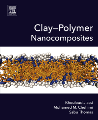 Immagine di copertina: Clay-Polymer Nanocomposites 9780323461535