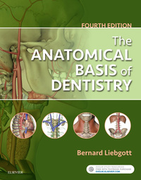 Cover image: The Anatomical Basis of Dentistry 4th edition 9780323477307