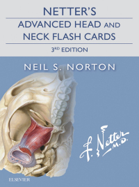 صورة الغلاف: Netter's Advanced Head and Neck Flash Cards 3rd edition 9780323442794