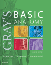 Cover image: Gray's Basic Anatomy 2nd edition 9780323474047