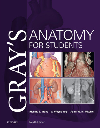 Cover image: Gray's Anatomy for Students 4th edition 9780323393041
