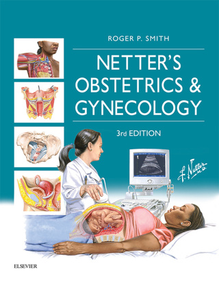 Cover image: Netter's Obstetrics and Gynecology 3rd edition 9780702070365