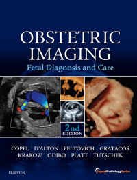 Immagine di copertina: Obstetric Imaging: Fetal Diagnosis and Care 2nd edition 9780323445481