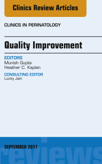 صورة الغلاف: Quality Improvement, An Issue of Clinics in Perinatology 9780323545648